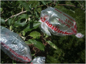 Покупка отходов из пластмассы