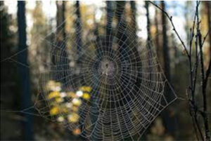 Закупівля відходів пластику